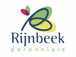 rijnbeek perennials